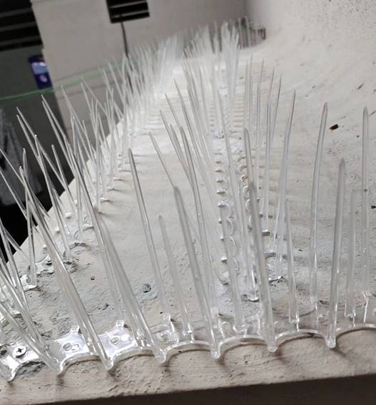 Bird Spikes
