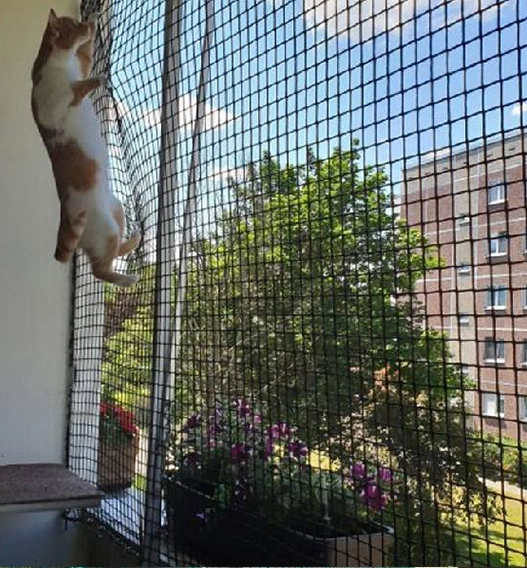 Pet Safety Nets